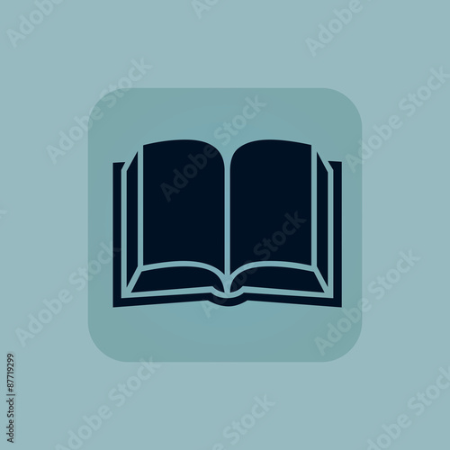 Pale blue book icon