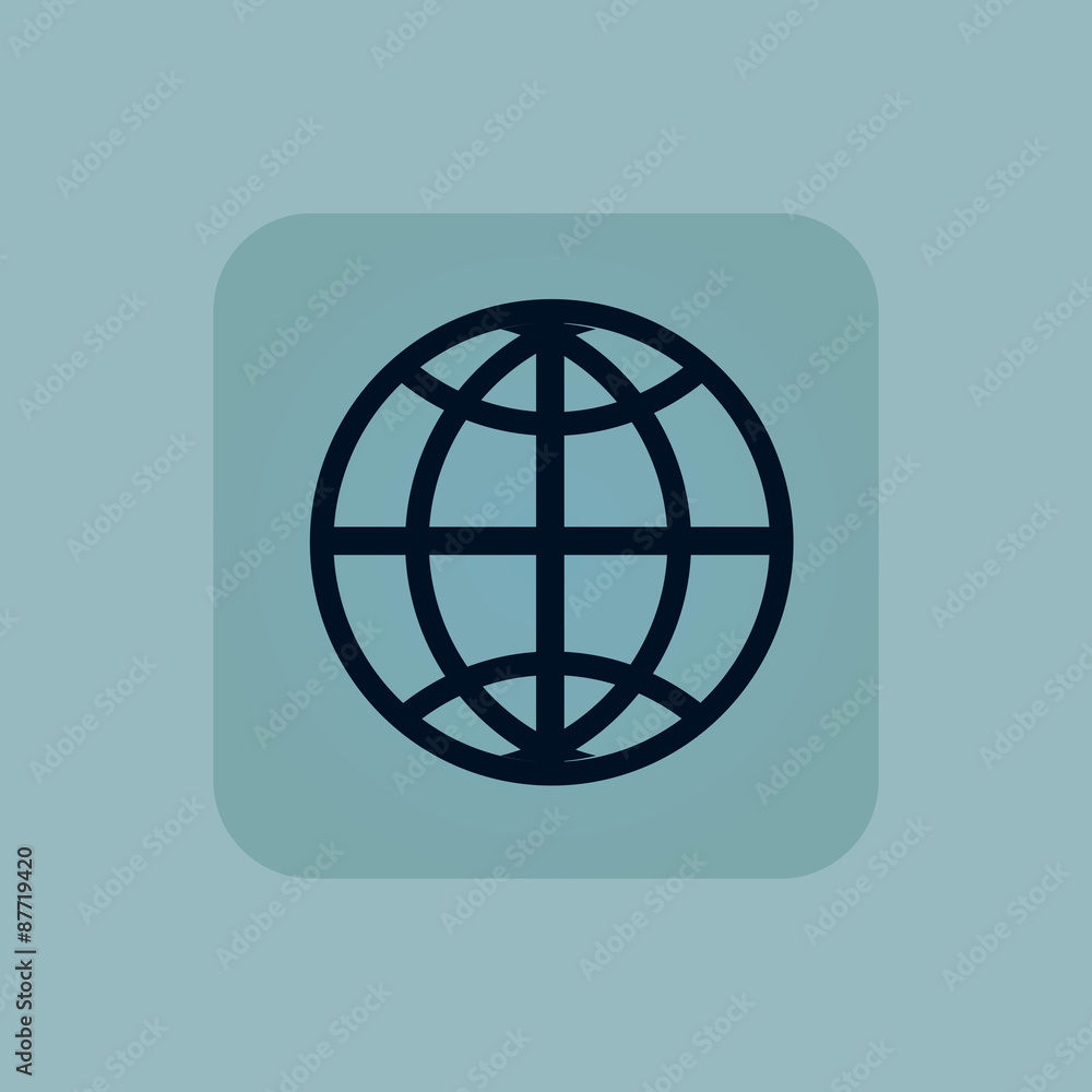 Pale blue globe icon Pale blue globe icon