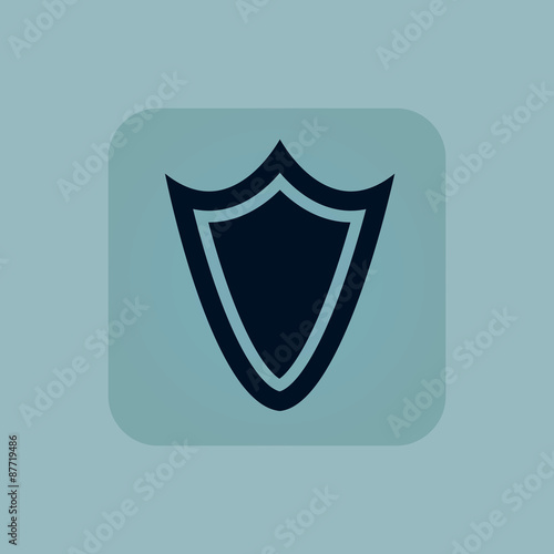 Pale blue shield icon