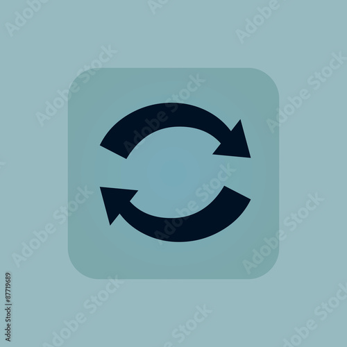 Pale blue exchange icon