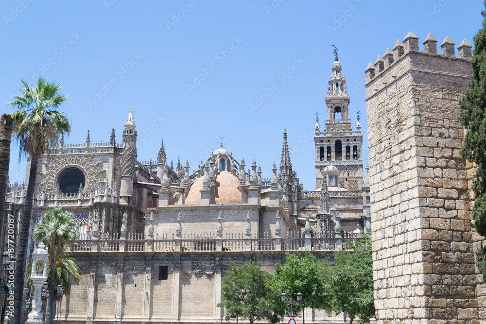 Santa Maria de la Sede Cathedral and giralda in Seville