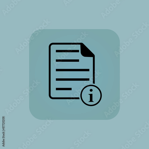 Pale blue information document icon