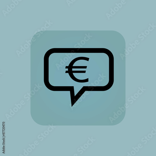 Pale blue euro message icon