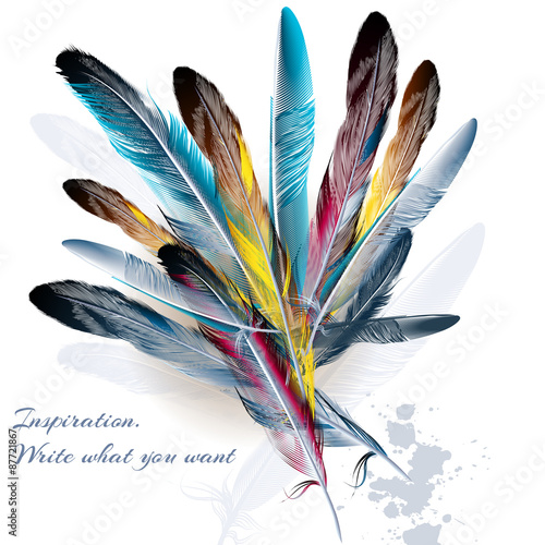 Background with feathers symbol of inspiration and writing