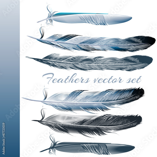 Set of vector realistic colorful feathers
