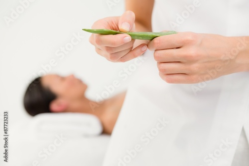 Attractive woman receiving aloe vera massage 