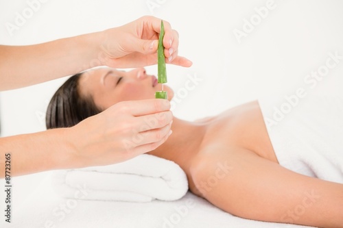 Attractive young woman receiving aloe vera massage