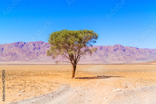 Desert landscape near Sesriem in Namibia.