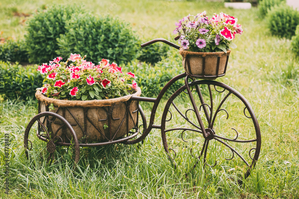 Decorative Vintage Model Old Bicycle Equipped Basket Flowers Gar
