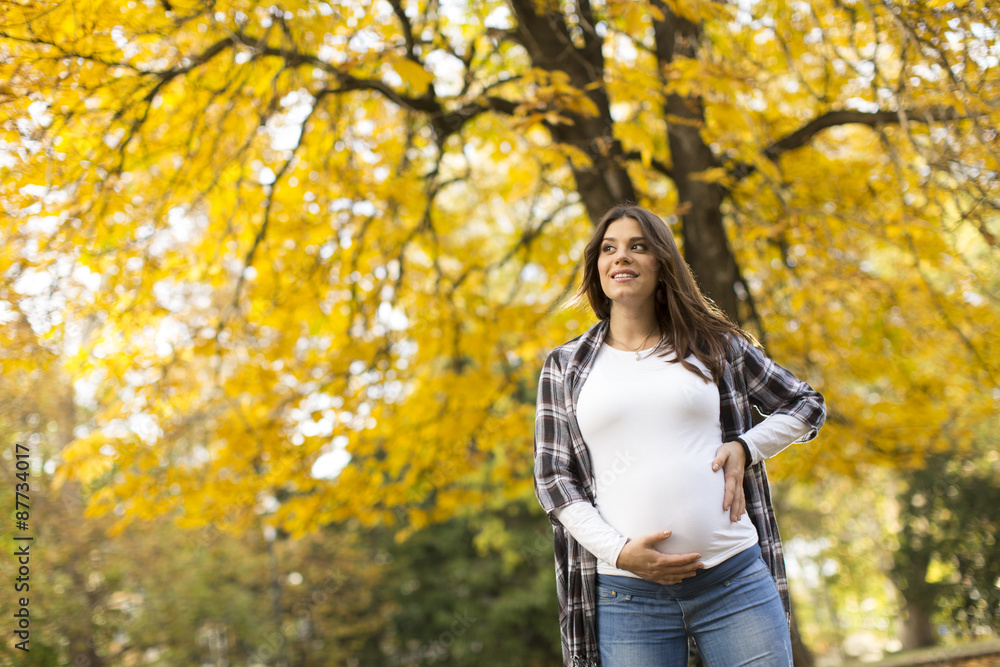 Pregnant woman in the autumn park Pregnant woman in the autumn park