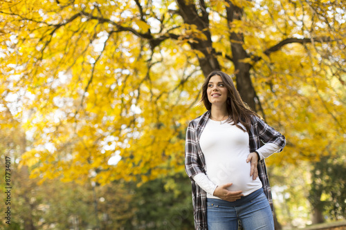 Pregnant woman in the autum...