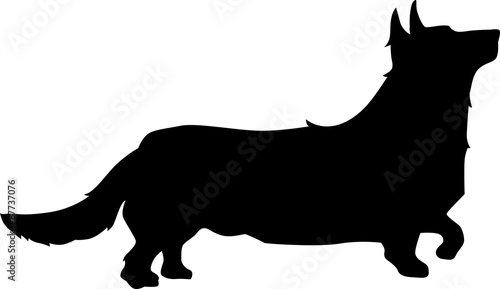 Corgi dog silhouette