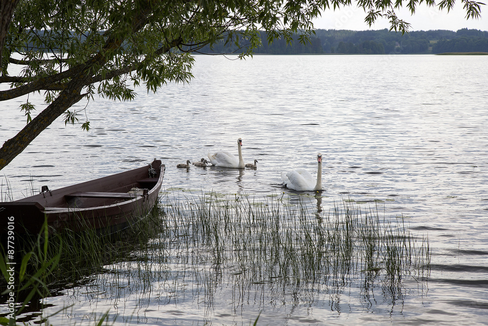 Wooden boat near te coast of lake