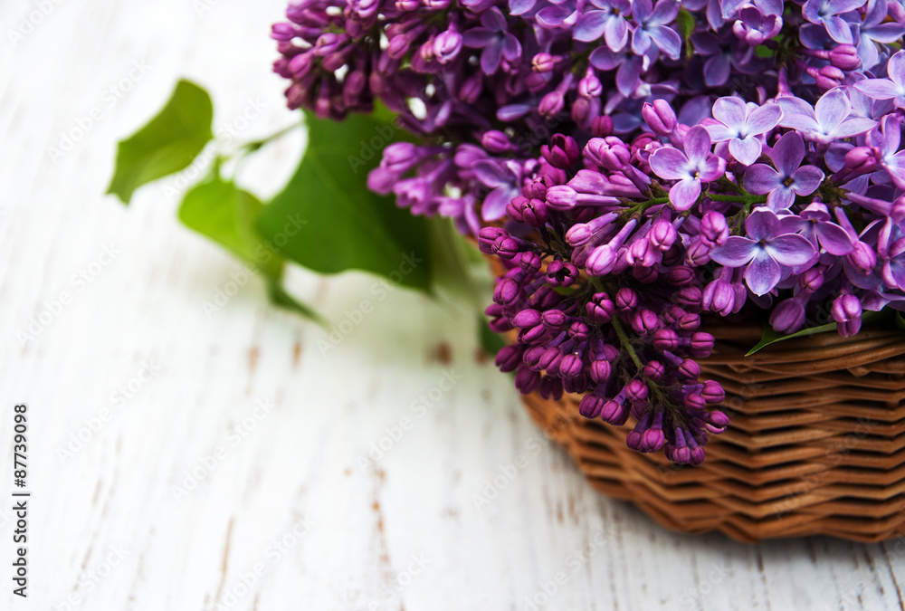 Lilac flowers Lilac flowers