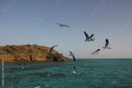 Les Grenadines - Les Cases