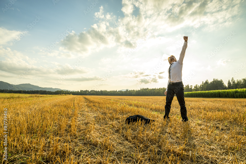 Businessman in the Field Raising Arm for Success Businessman in the Field Raising Arm for Success