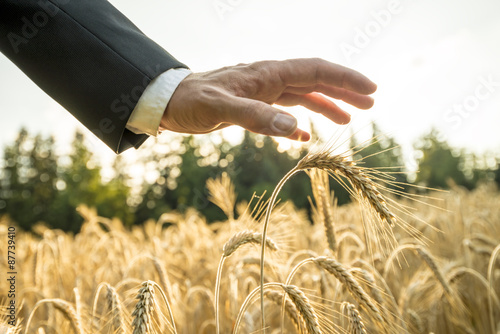 Fotografía Businessman or environmentalist holding a palm of his hand above
