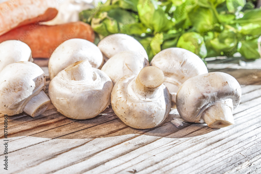 Champignon Champignon