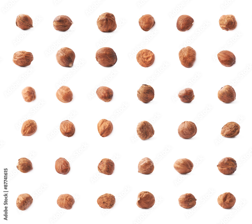 Single hazelnut isolated Single hazelnut isolated