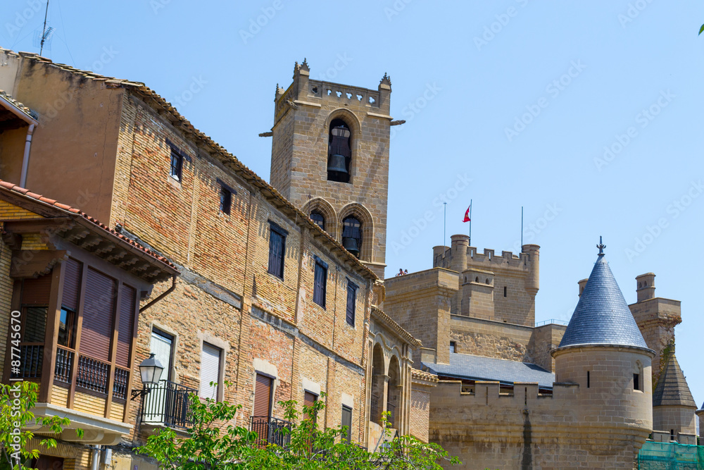 Castle of Olite from the village Castle of Olite from the village