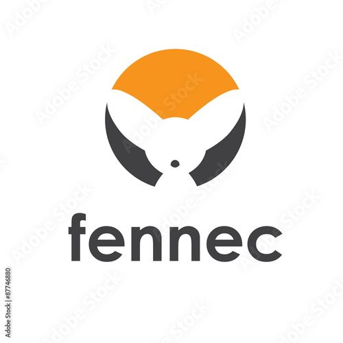 Photography Illustration of fennec fox icon. Vector