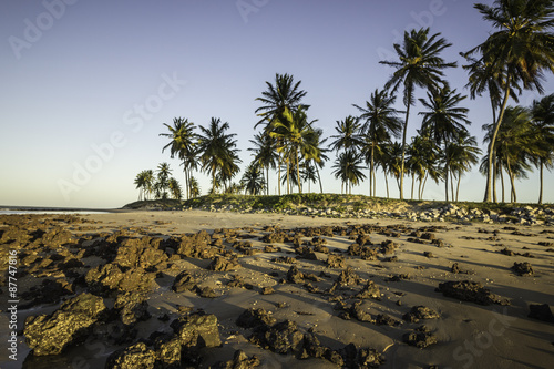 Pedras e coqueiros - Praia de Maracajaú, RN, Brasil