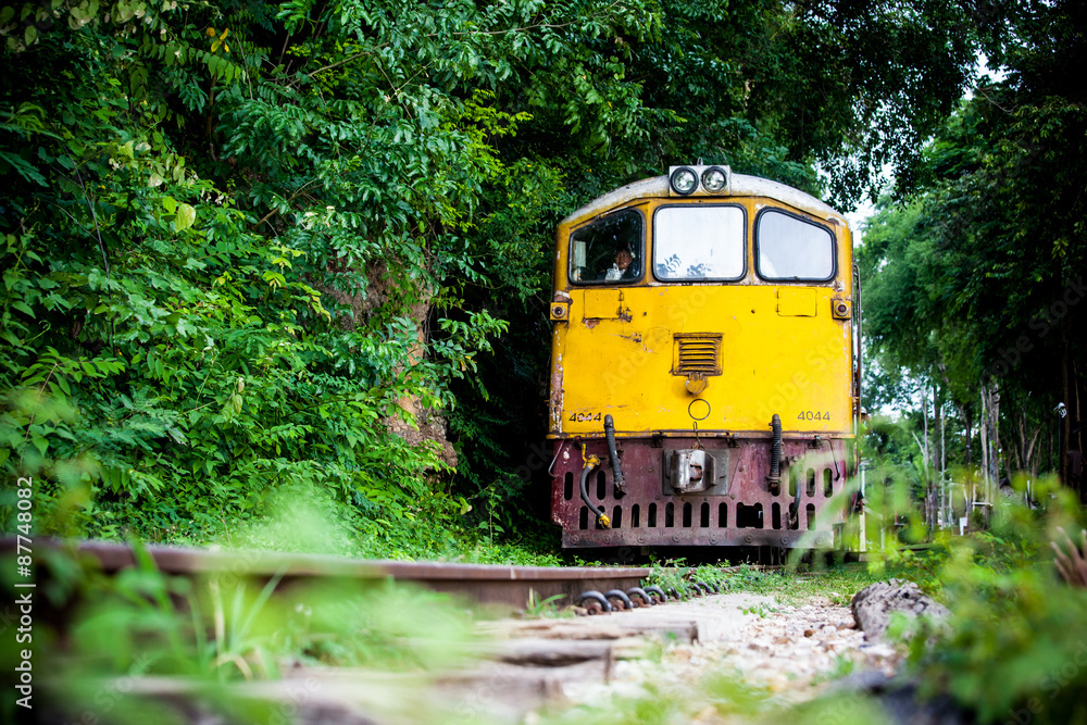 Naklejka premium Trains run on tracks through the woods and cliffs 