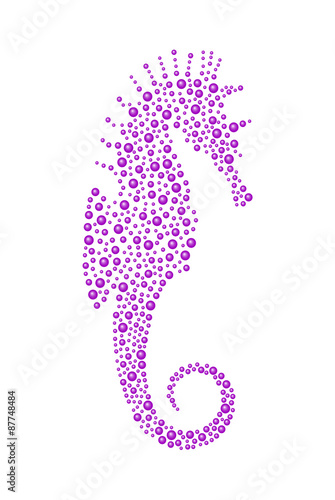 Seahorse in purple design 