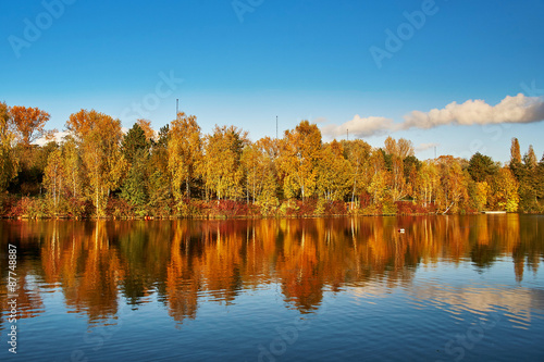 Scenic autumn landscape