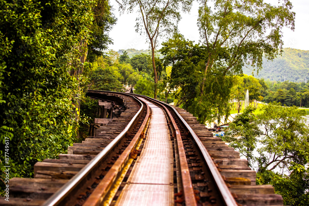Railway tracks through forest Railway tracks through forest
