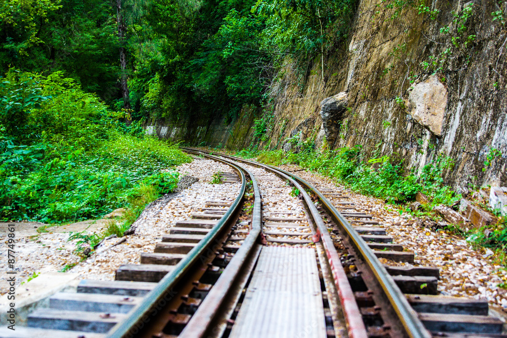 Railway tracks through forest Railway tracks through forest