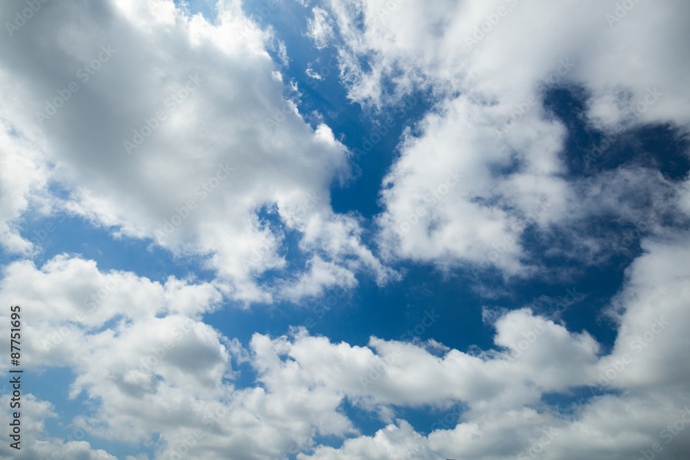 Obraz premium 初夏の青空と雲 