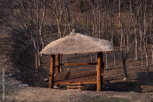 Wood pavilion in forest © kuponjabah