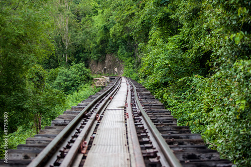 The railway stretches over a cliff in the forest