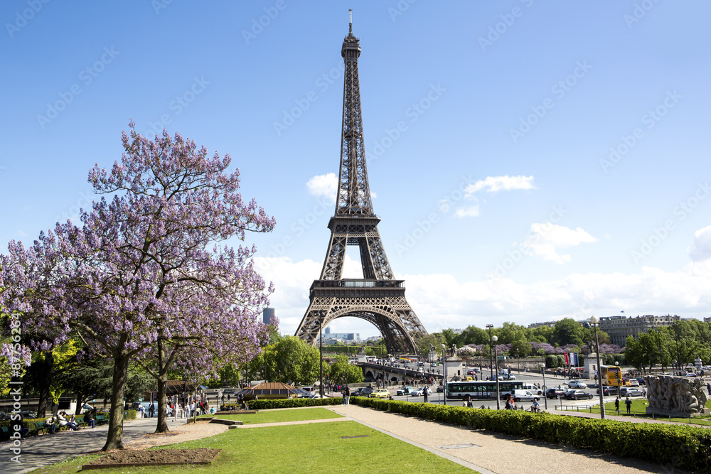 Fototapeta premium View of eiffel tower in Paris, France 