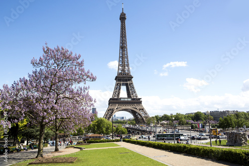 View of eiffel tower in Paris, France  © Production Perig