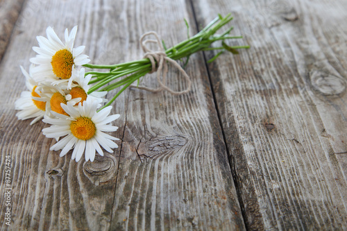 Fototapeta Naklejka Na Ścianę i Meble -  Beautiful chamomiles