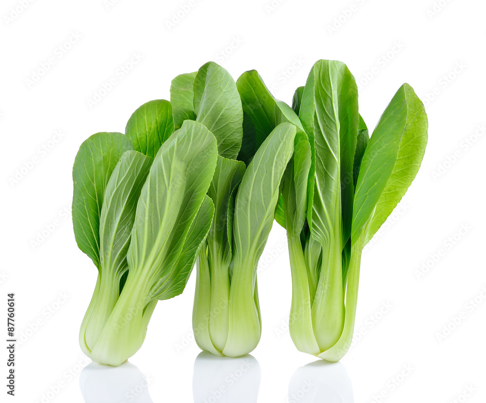 Bok choy vegetable on white background Bok choy vegetable on white background