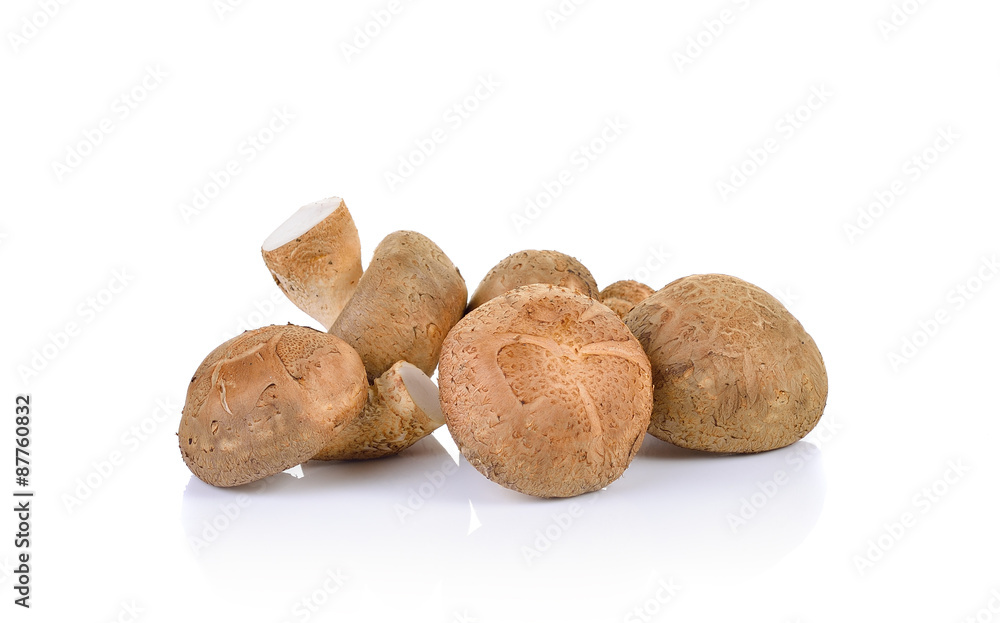 Shiitake mushroom on the White background Shiitake mushroom on the White background