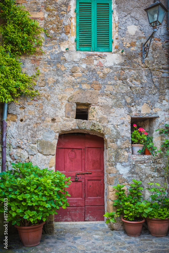 Tuscan door with plants in the Italian medieval village