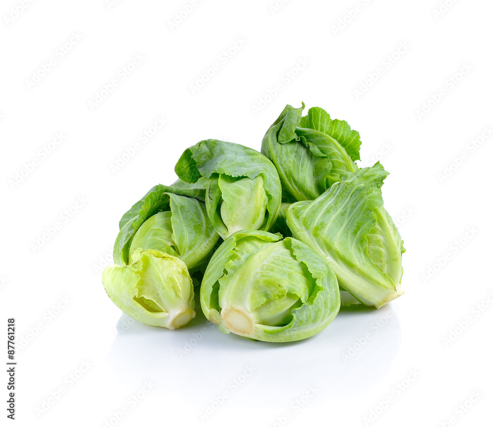 mini cabbage on white background mini cabbage on white background