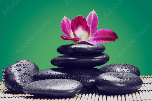spa concept over green background