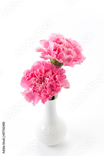 Fototapeta Naklejka Na Ścianę i Meble -  pink carnations flower