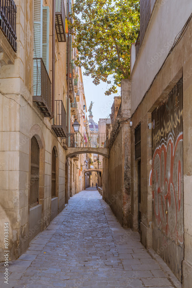 Fotka „Narrow streets and alleys in the Ciutat Vella, the historic part of Barcelona. The lane
