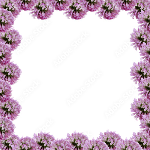 Clover flowers shaped as frame with space for your text