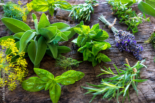 Obraz na plátně Fresh herbs on wooden background