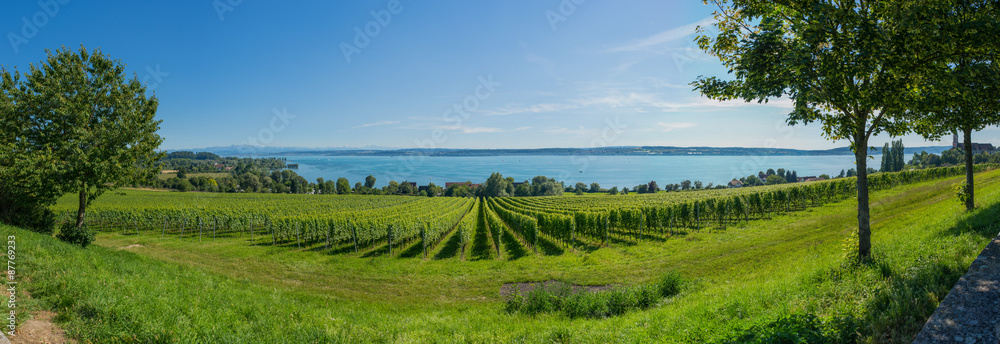 Bodensee High Res Panorama