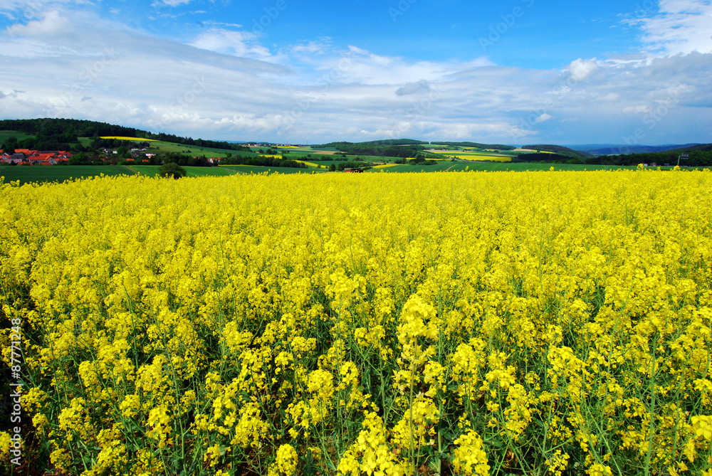 GERMANY  - Ropsfield in front of mountains with blue sky.