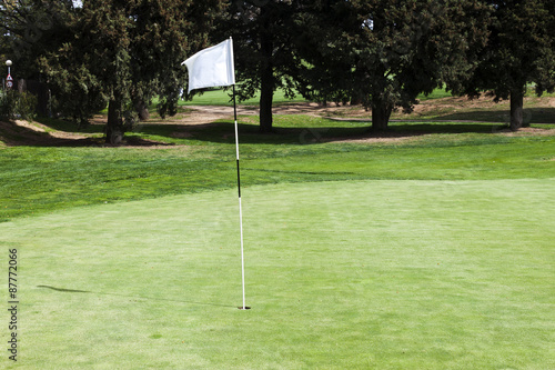 Blank flagstick on a putting green in a golf course.