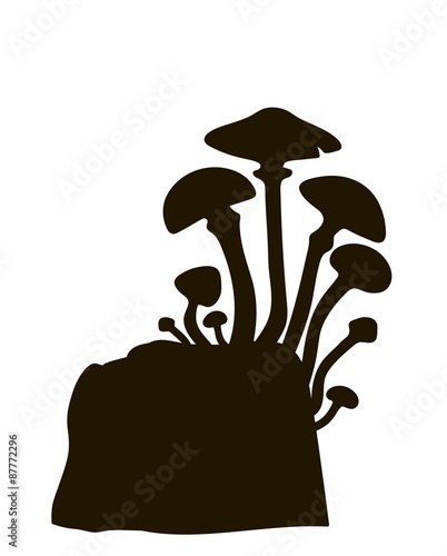 mushrooms on a tree stump